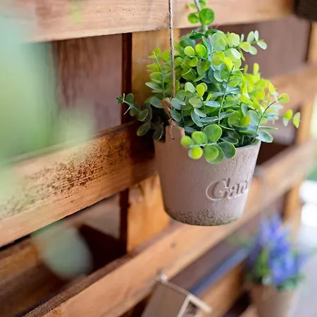 Casa Del Sole Apartament Lesa