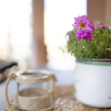 Apartman Casa Del Sole Lesa