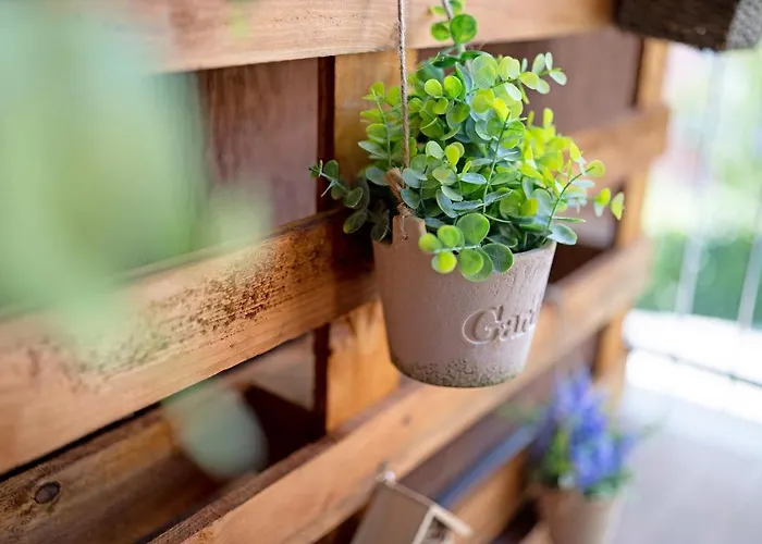 Casa Del Sole Daire Lesa